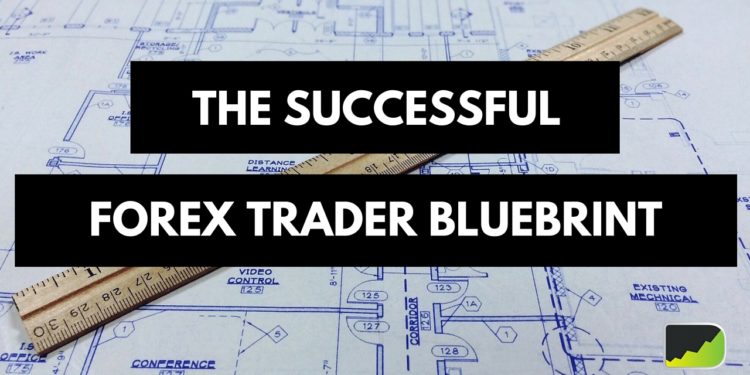 Successful forex trader